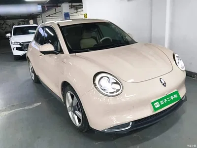2022 Ora Good Cat 400km Standard Range Premium LFP, фото 4, лот 10330504