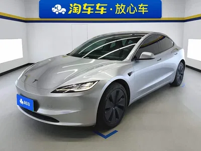 2025 Tesla Model 3 Model Rear-Wheel Drive Edition, фото 1, лот 11553770