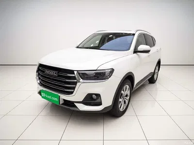 2021 Haval H6 National Trend Edition 1.5GDIT Automatic Champion Edition, фото 1, лот 10300809