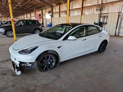 2023 TESLA MODEL 3, фото 1, лот 10854121