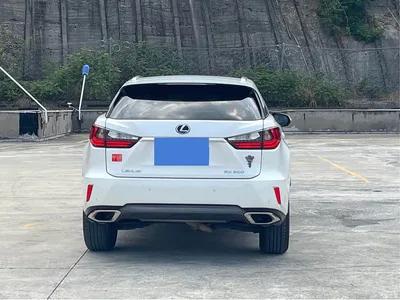 2016 Lexus RX 300 2WD Elite Edition China VI, фото 3, лот 10435988
