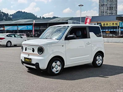 2024 Geely Galaxy Panda mini 200km Endurance Bear, фото 1, лот 11007403