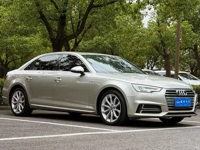 2018 Audi A4L 30th Anniversary 40 TFSI Fashion, фото 3, лот 10401542