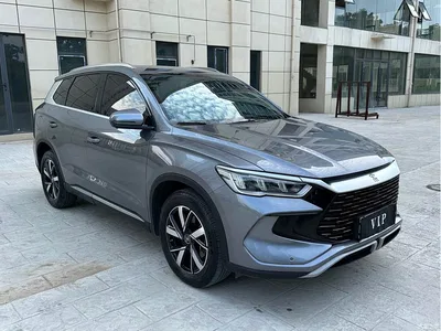 2024 BYD Song Pro New Energy Glory Edition DM-i 71KM Pilot, фото 3, лот 10274807