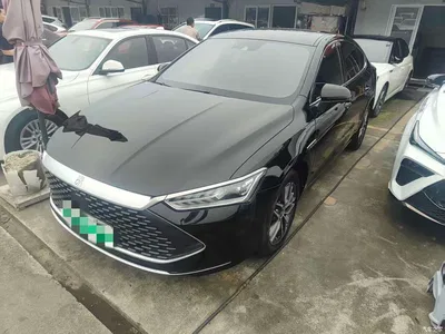 2023 BYD Qin PLUS Champion Edition DM-i 120KM Surpassing Type, фото 3, лот 11242620