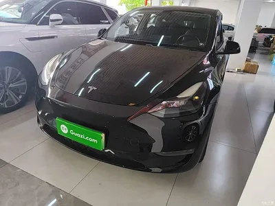 2021 Tesla Model Y Model Long Range AWD, фото 2, лот 11300945