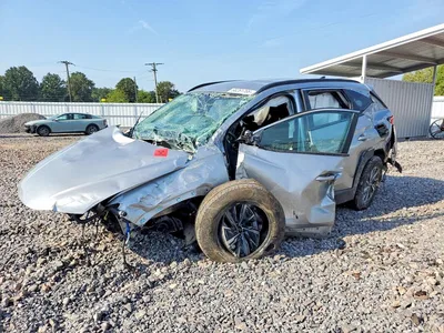 2024 HYUNDAI TUCSON BLUE, фото 1, лот 10748897