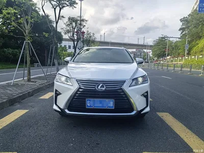 2016 Lexus RX 300 2WD Comfort Edition China V, фото 2, лот 10318722