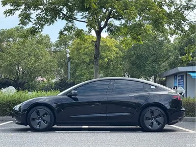2022 Tesla Model 3 Model Rear-Wheel Drive Version, фото 3, лот 10594090