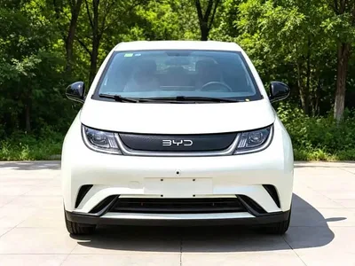 2025 BYD Dolphin 420km Freedom Edition, фото 2, лот 11136757