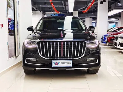 2019 Hongqi HS7 3.0T Automatic 4WD Smart Connection Flag Smooth Edition, фото 2, лот 10287946