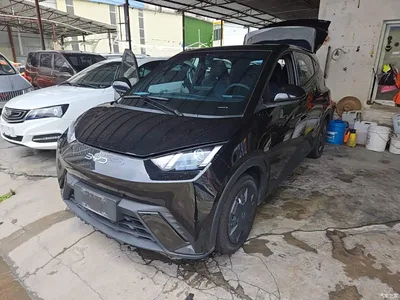 2024 BYD Seagull Glory Edition 305km Freedom Edition, фото 1, лот 10262920