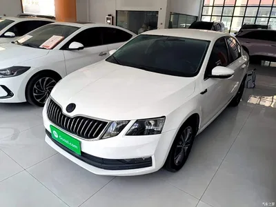 2019 Škoda Octavia 1.5L Automatic Smart Comfort China VI, фото 2, лот 10348009