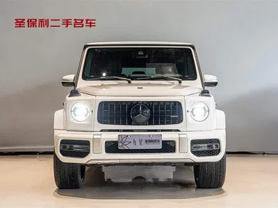 2019 Mercedes-Benz G-Class Facelift G 500, фото 2, лот 10295509