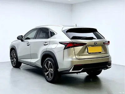 2020 Lexus NX 300h FWD F Sport China V, фото 4, лот 11074894