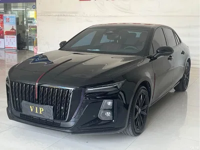 2025 Hongqi H5 2.0T Automatic Mystic Shadow, фото 1, лот 10288432