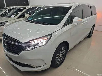 2022 Buick GL8 ES Landmark 653T Comfort, фото 2, лот 10262251