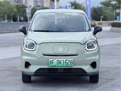 2022 Leapmotor T03 Golden Glory Edition, фото 2, лот 10314295