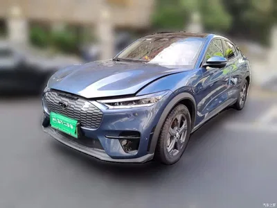 2021 Ford Mustang Mach-E Leap World RWD (Standard Range), фото 2, лот 10300883