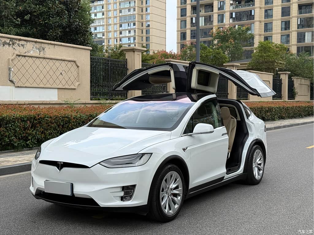 2017 Tesla Model X 100D Long Range, фото 1, лот 10812920