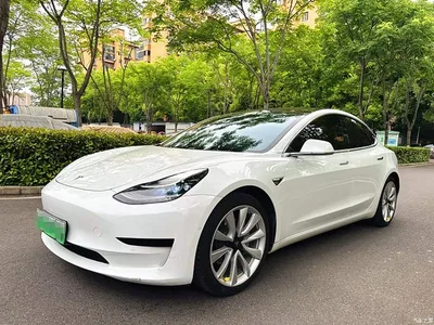 2020 Tesla Model 3 Standard Range Rear-Wheel Drive Upgrade, фото 1, лот 11089739