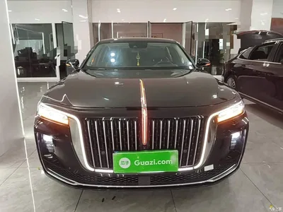 2020 Hongqi H9 2.0T Smart Connection Qi Chang Edition, фото 3, лот 11205221