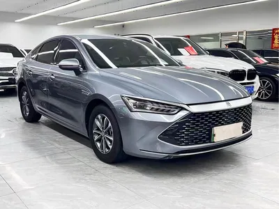 2024 BYD Qin PLUS Glory Edition DM-i 55KM Leading, фото 3, лот 10364149