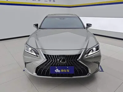 2022 Lexus ES 200 Excellence Edition, фото 2, лот 10313664