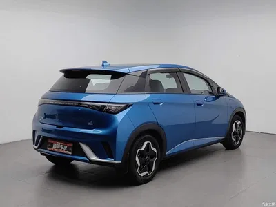 2021 BYD Dolphin Model 405km Fashion Edition, фото 2, лот 11580949
