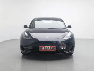 2022 Tesla Model 3 Model Rear-Wheel Drive Version, фото 3, лот 10350658