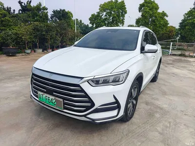 2022 BYD Song Pro New Energy DM-i 110km Flagship Pro, фото 1, лот 10273210