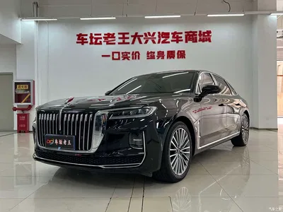 2020 Hongqi H9 2.0T Smart Connection Qi Xiang Edition, фото 1, лот 10287492