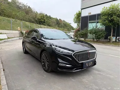 2020 Hongqi H5 1.8T Automatic Smart Connected Leader Edition, фото 3, лот 10288579