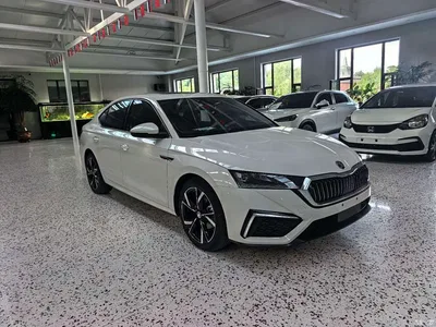 2022 Škoda Octavia PRO TSI280 Luxury Edition, фото 3, лот 10959504