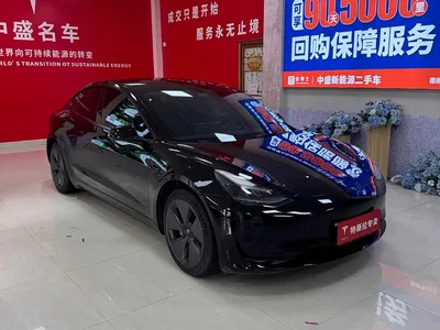 2022 Tesla Model 3 Model Rear-Wheel Drive Version, фото 3, лот 10366974