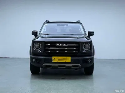 2021 Haval Big Dog 1.5T DCT 2WD Malinois Edition, фото 2, лот 11459910