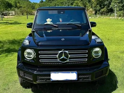 2023 Mercedes-Benz G-Class G 350, фото 2, лот 10257688