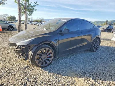 2023 TESLA MODEL Y, фото 1, лот 10850939