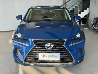 2020 Lexus NX 200 FWD Fengyi Edition China VI, фото 2, лот 11586353