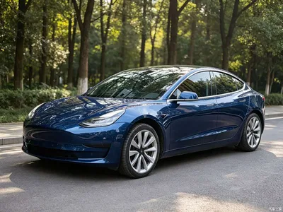 2019 Tesla Model 3 Standard Range Rear-Wheel Drive Upgrade, фото 1, лот 10880392