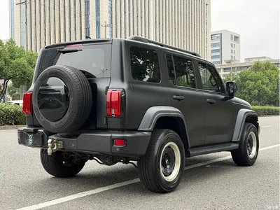 2021 Tank 300 Off-road Version 2.0T Conqueror, фото 4, лот 11134544