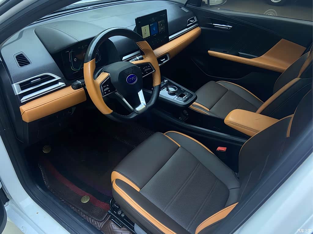 2021 BYD e2 Luxury Edition, фото 4, лот 11097756