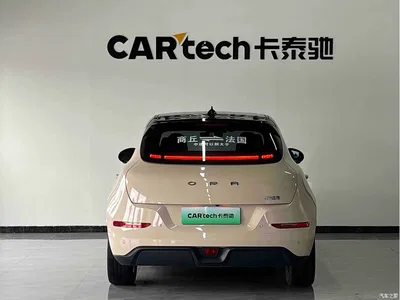 2023 Ora Good Cat 401km Standard Range Honor Edition (LFP), фото 3, лот 10331595