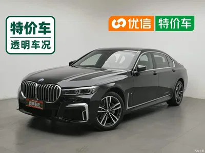 2019 BMW 7 Series Facelift 730Li M Sport Package, фото 1, лот 10448414