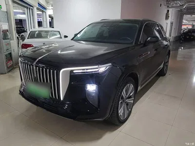2021 Hongqi E-HS9 460km Flagship Comfort 6-seater, фото 1, лот 10304314