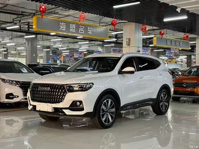 2023 Haval H6 National Trend Edition 1.5T Automatic Champion, фото 1, лот 10296587