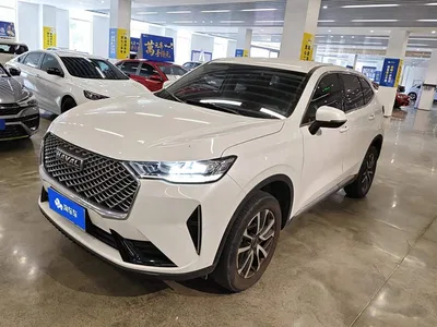 2021 Haval H6 3rd Generation 1.5T Automatic 2WD Plus, фото 1, лот 10298376