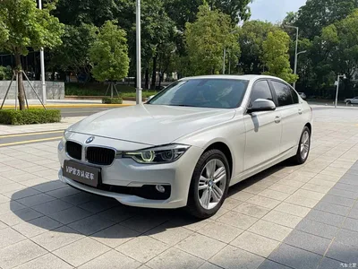 2016 BMW 3 Series 320Li Progressive, фото 2, лот 11179726