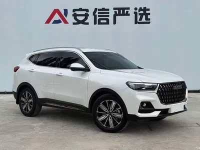 2023 Haval H6 National Trend Edition 1.5T Automatic Champion, фото 3, лот 10283144