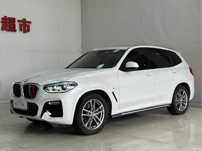 2018 BMW X3 xDrive30i Leading M Sport Package China V, фото 1, лот 10239020